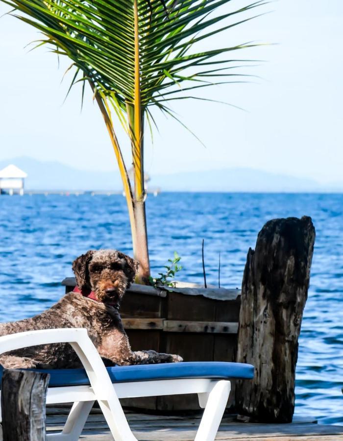 Barrbra Bnb Over The Sea Bocas del Toro Exterior foto