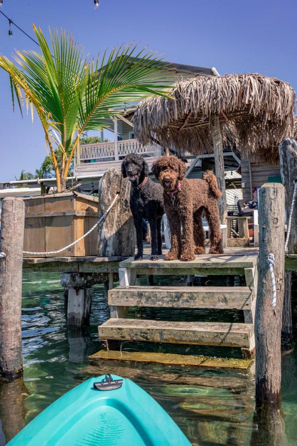Barrbra Bnb Over The Sea Bocas del Toro Exterior foto